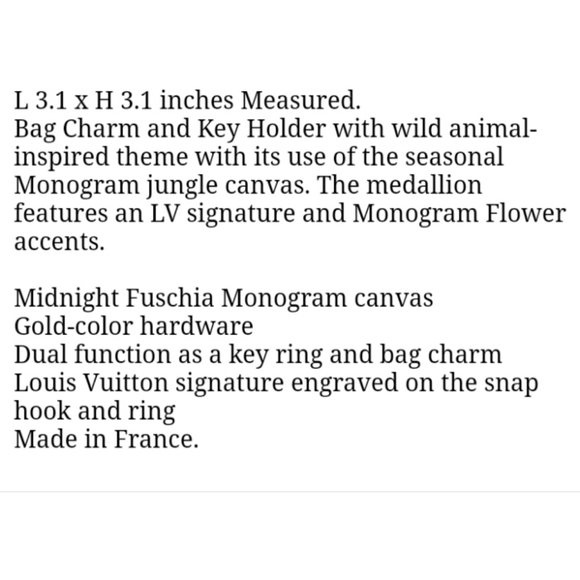 Louis Vuitton Keychain - Picture 3 of 4